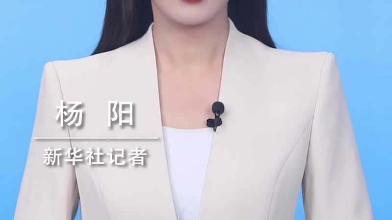 SaaS性能优化，揭秘专业服务背后的关键技术